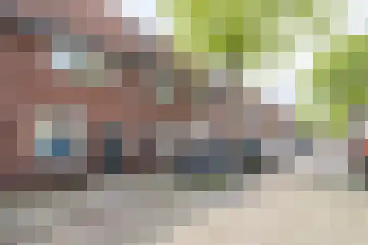 Hermannus Elconiusstraat 56 Utrecht thumbnail 52