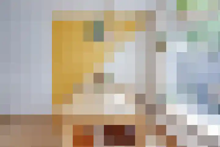 Hermannus Elconiusstraat 56 Utrecht thumbnail 7