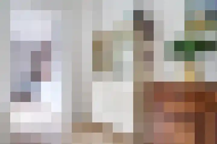 Hermannus Elconiusstraat 56 Utrecht thumbnail 9