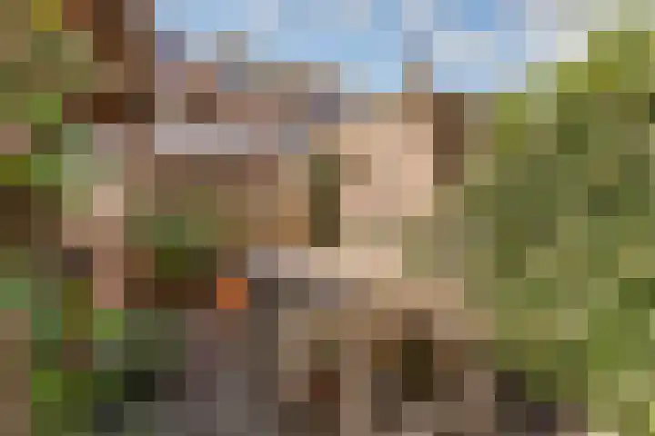 Hermannus Elconiusstraat 82 Utrecht thumbnail 26