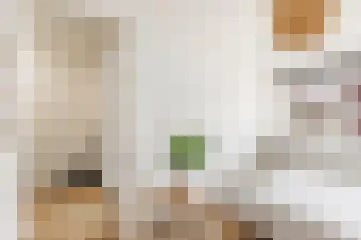 Hermannus Elconiusstraat 82 Utrecht thumbnail 36