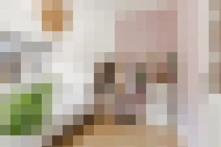 Hermannus Elconiusstraat 82 Utrecht thumbnail 38