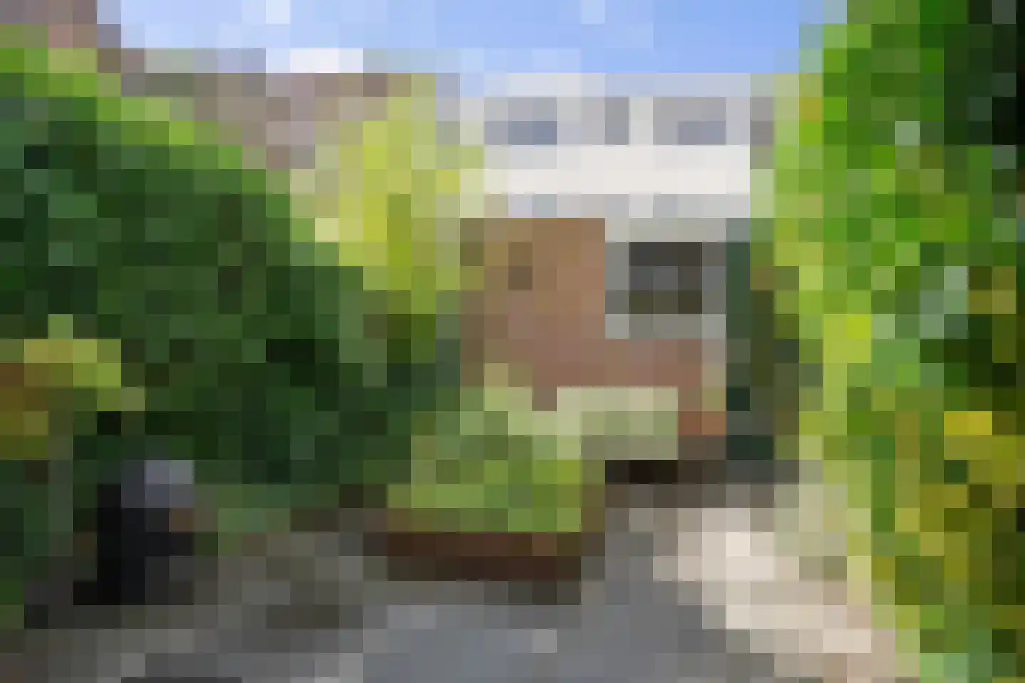 Hermannus Elconiusstraat 84 Utrecht thumbnail 9