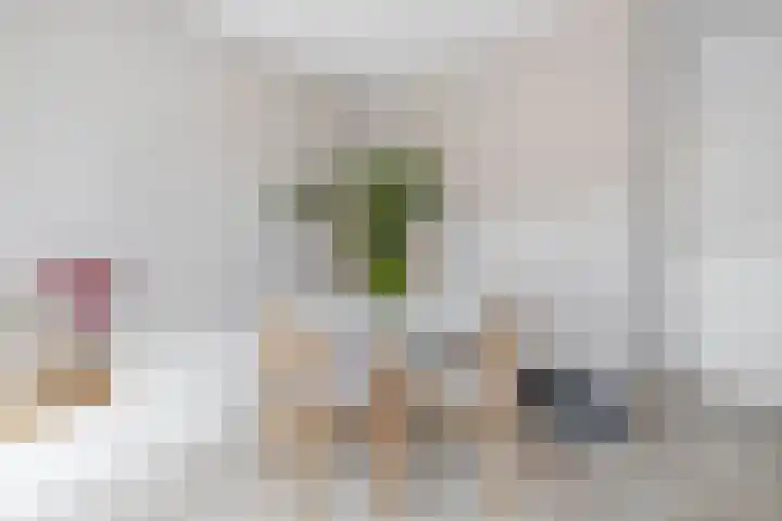 Hermannus Elconiusstraat 93 Utrecht thumbnail 11