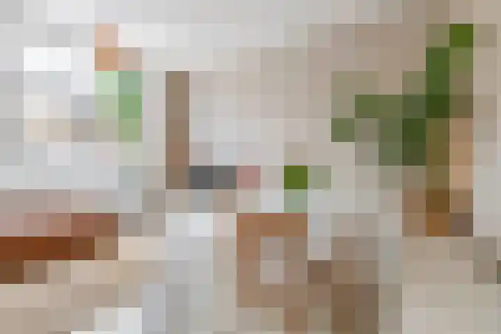 Hermannus Elconiusstraat 93 Utrecht thumbnail 12