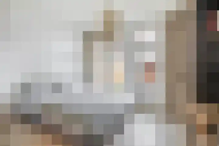 Hermannus Elconiusstraat 93 Utrecht thumbnail 13
