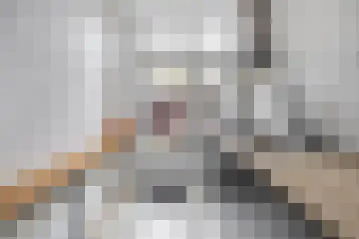 Hermannus Elconiusstraat 93 Utrecht thumbnail 23