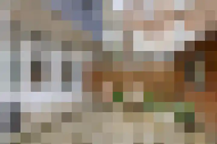 Hermannus Elconiusstraat 93 Utrecht thumbnail 25