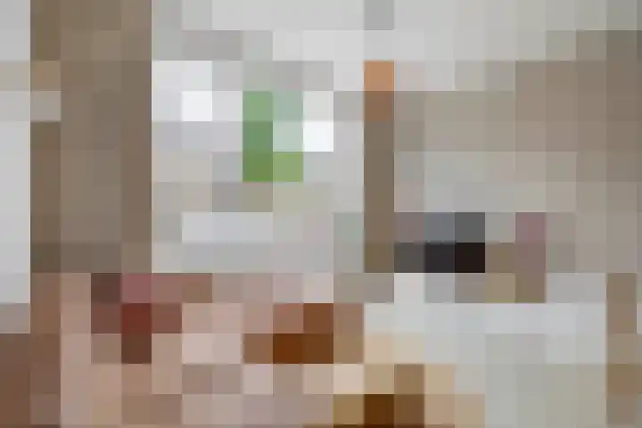 Hermannus Elconiusstraat 93 Utrecht thumbnail 8