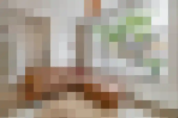 Hermannus Elconiusstraat 93 Utrecht thumbnail 9