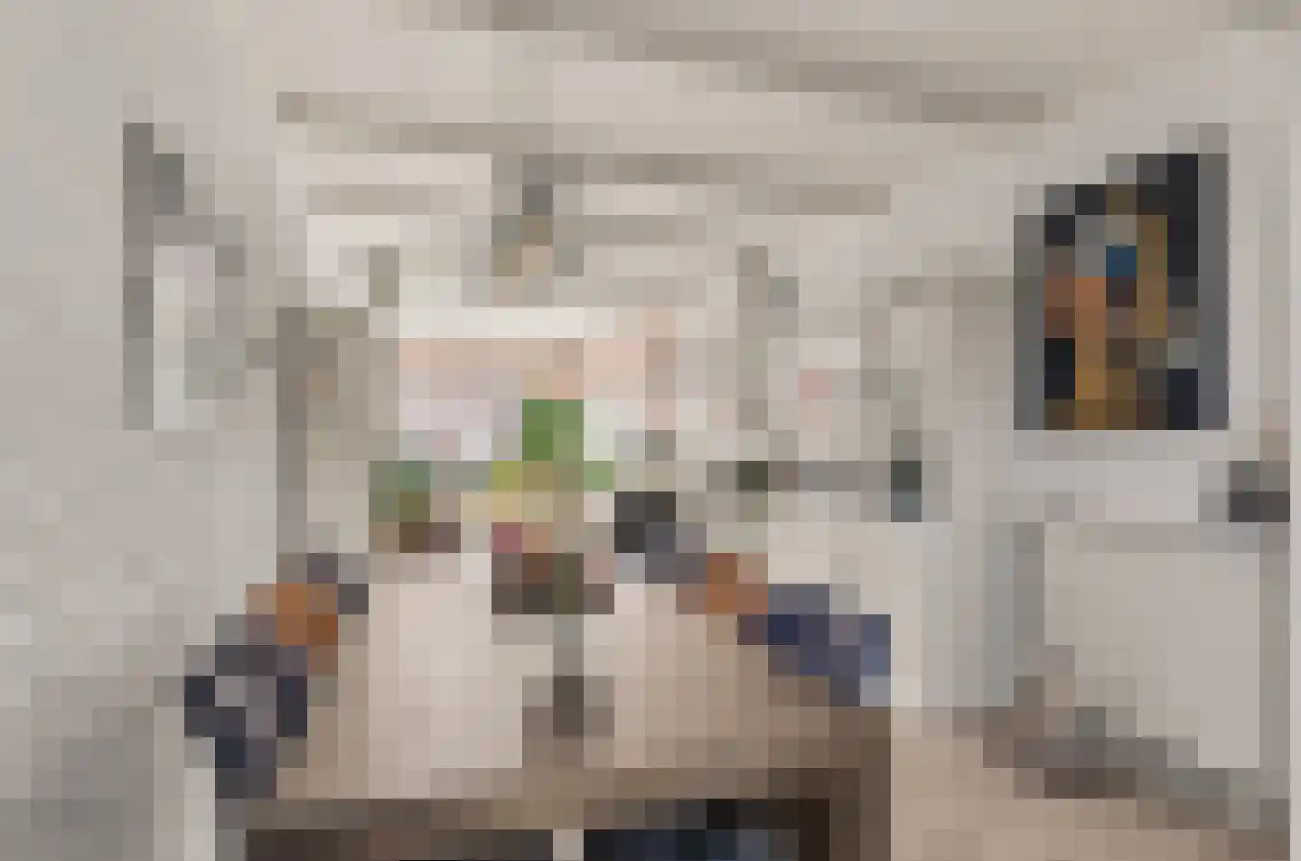 Hermannus Elconiusstraat 98 Utrecht thumbnail 10