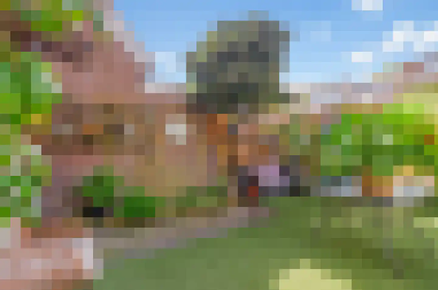 Hermannus Elconiusstraat 98 Utrecht thumbnail 22