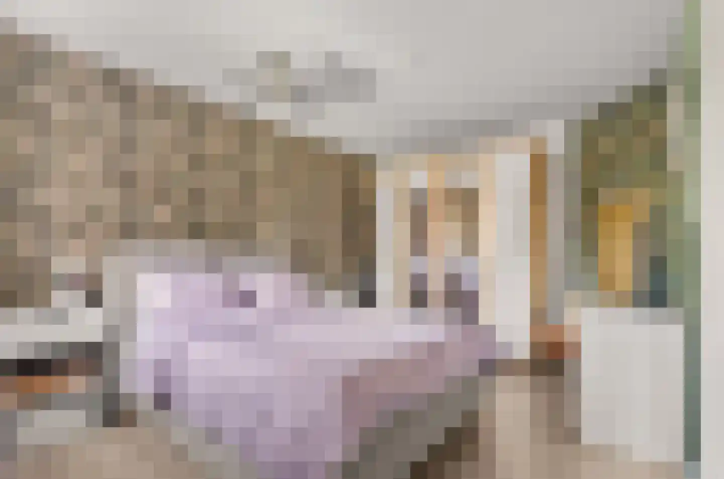 Hermannus Elconiusstraat 98 Utrecht thumbnail 26