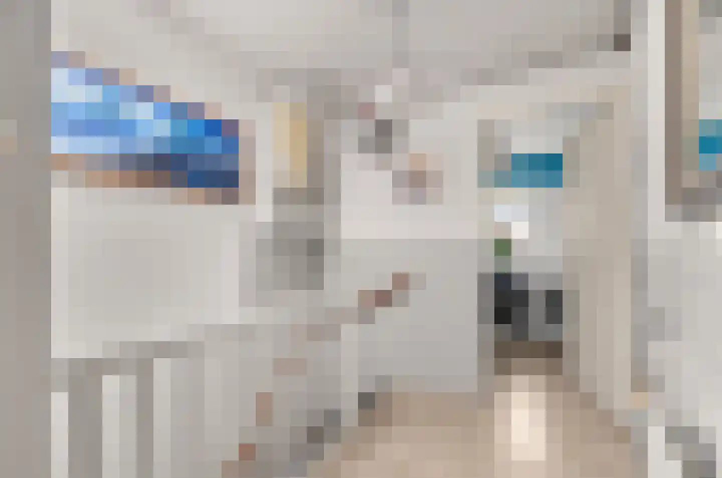 Hermannus Elconiusstraat 98 Utrecht thumbnail 30