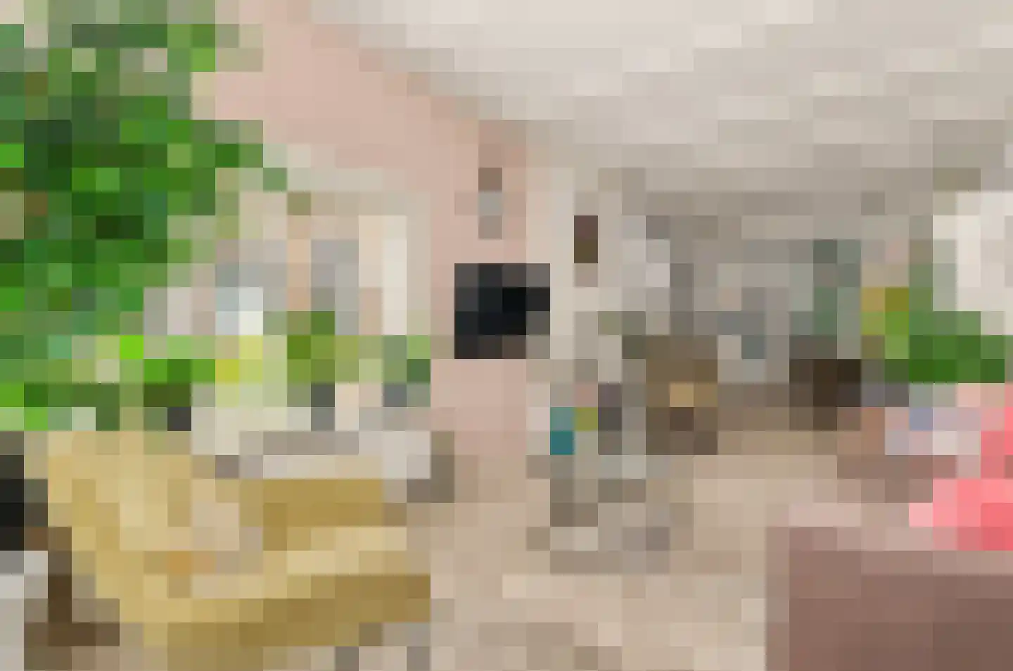 Hermannus Elconiusstraat 98 Utrecht thumbnail 5