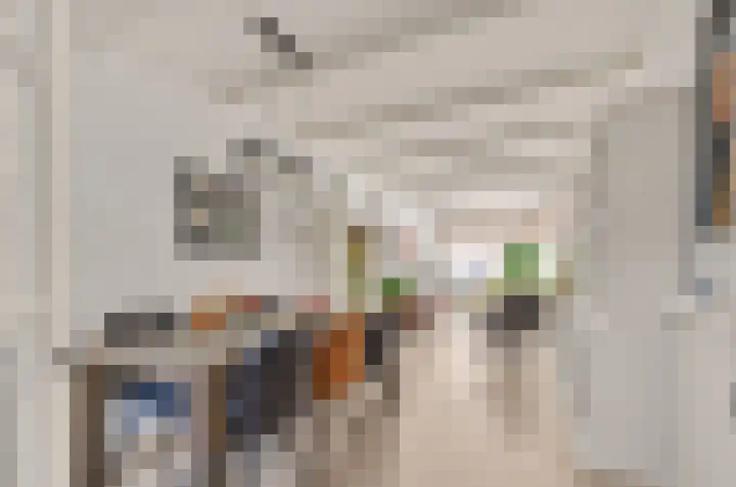 Hermannus Elconiusstraat 98 Utrecht thumbnail 9