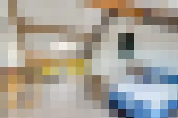 Hermanshof 1 Helden thumbnail 34