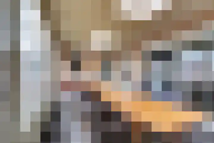 Hermanshof 1 Helden thumbnail 36