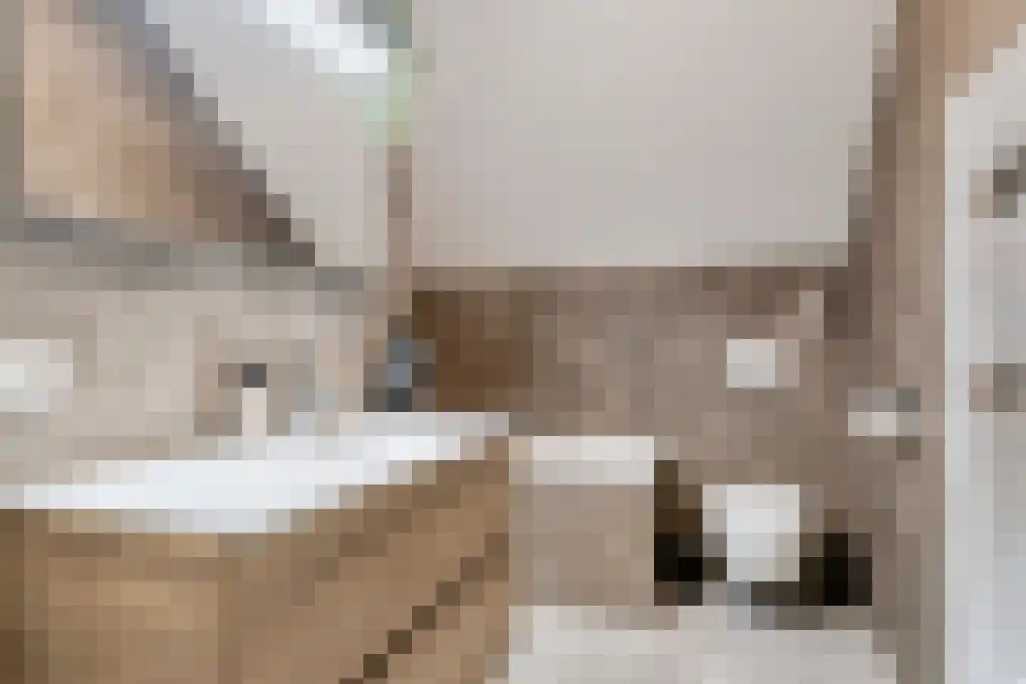 Hermanshof 5 Helden thumbnail 30