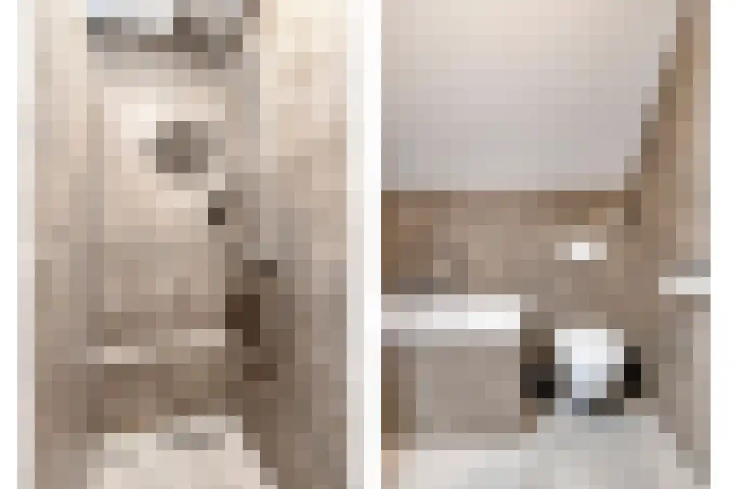 Hermanshof 5 Helden thumbnail 32