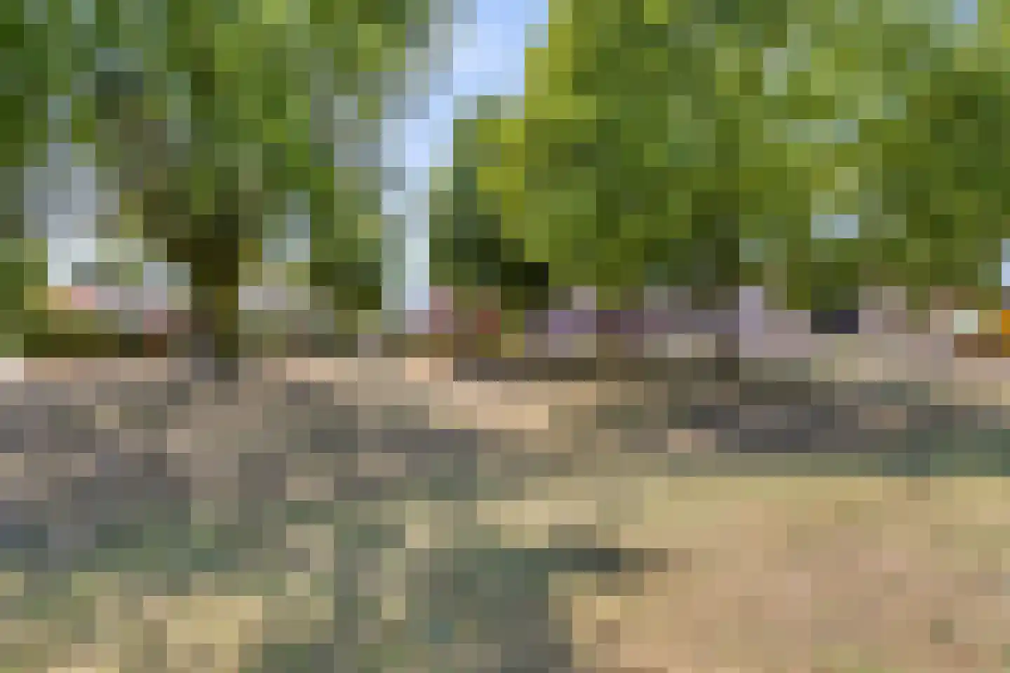 Hermanshof 5 Helden thumbnail 46