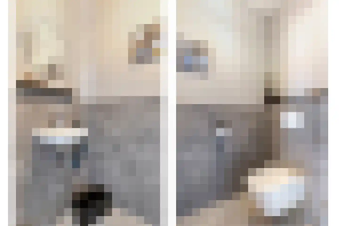 Hermanshof 5 Helden thumbnail 7