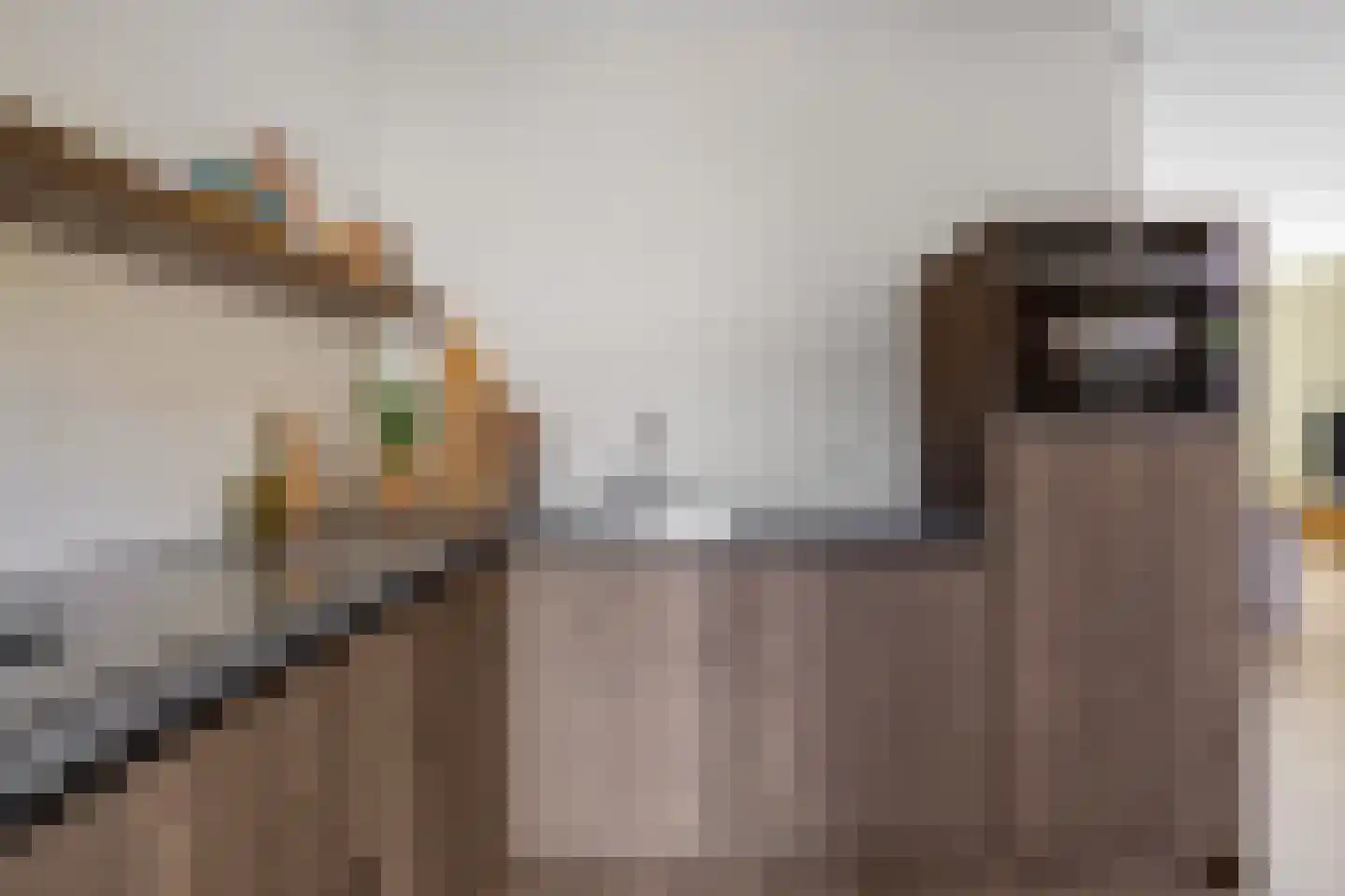 Hermanshof 7 Helden thumbnail 12