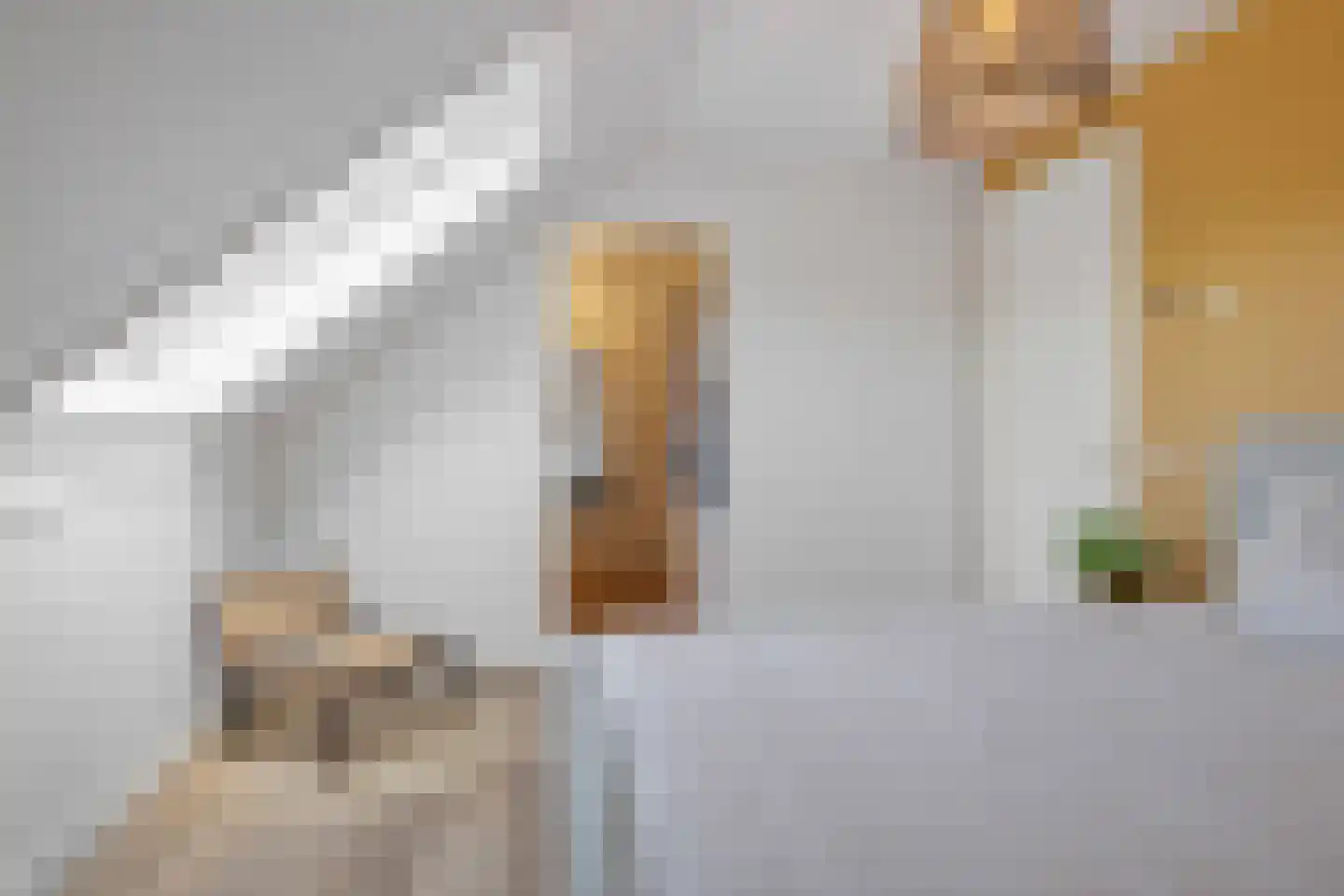 Hermanshof 7 Helden thumbnail 17