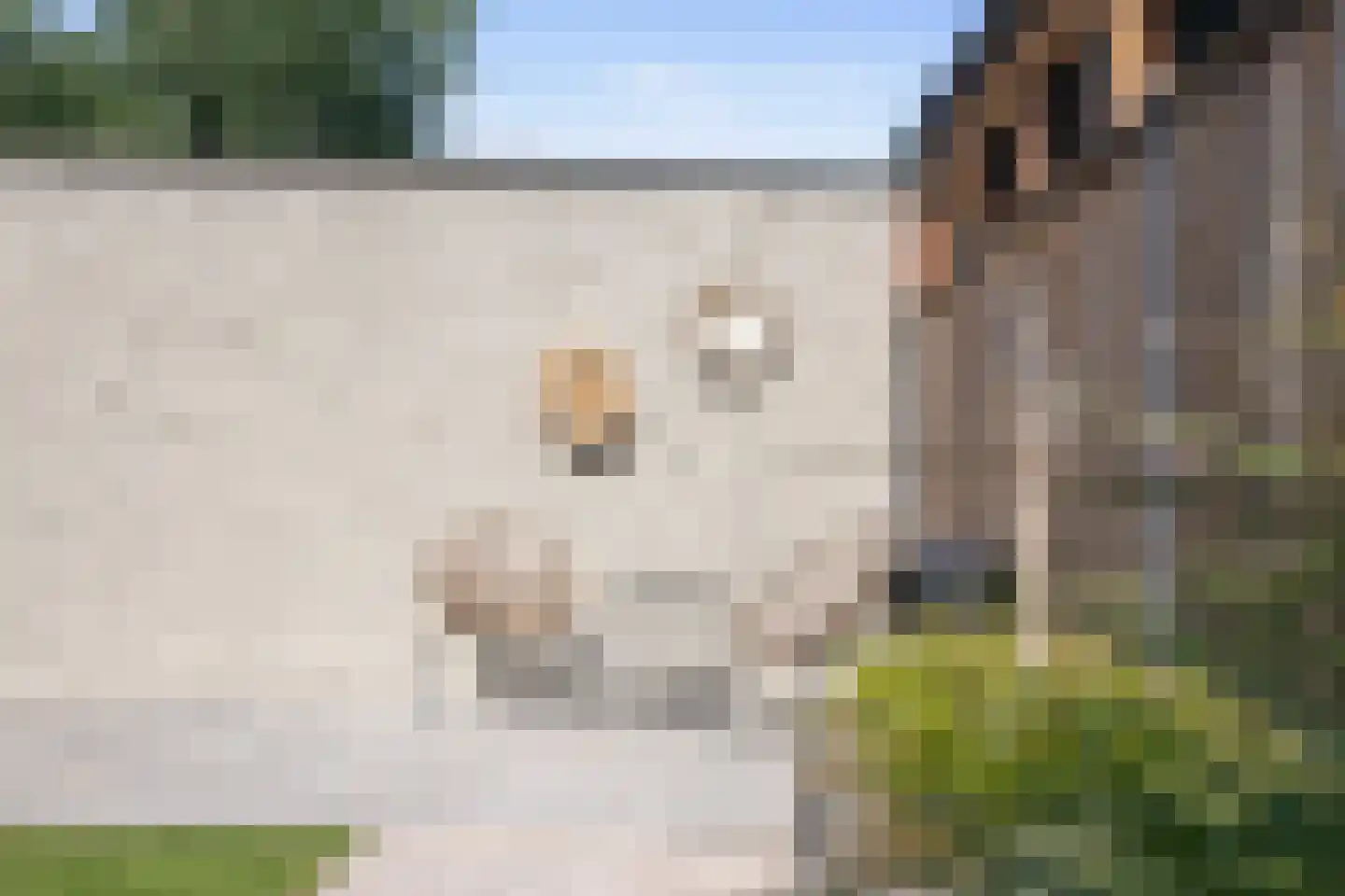 Hermanshof 7 Helden thumbnail 30