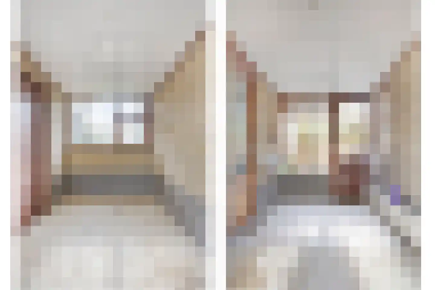 Hermansstraat 12 Hoeven thumbnail 16