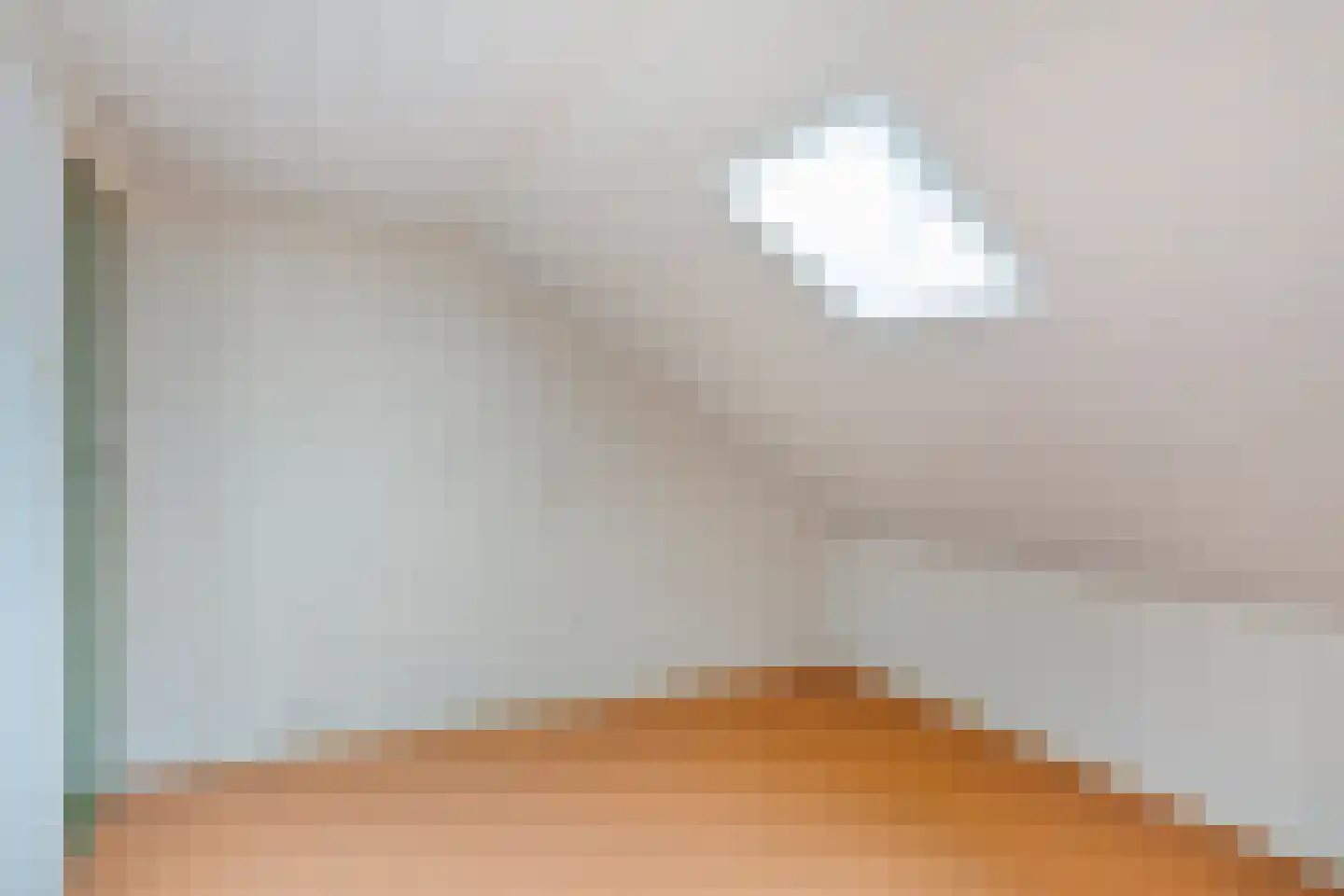 Hermansstraat 12 Hoeven thumbnail 25