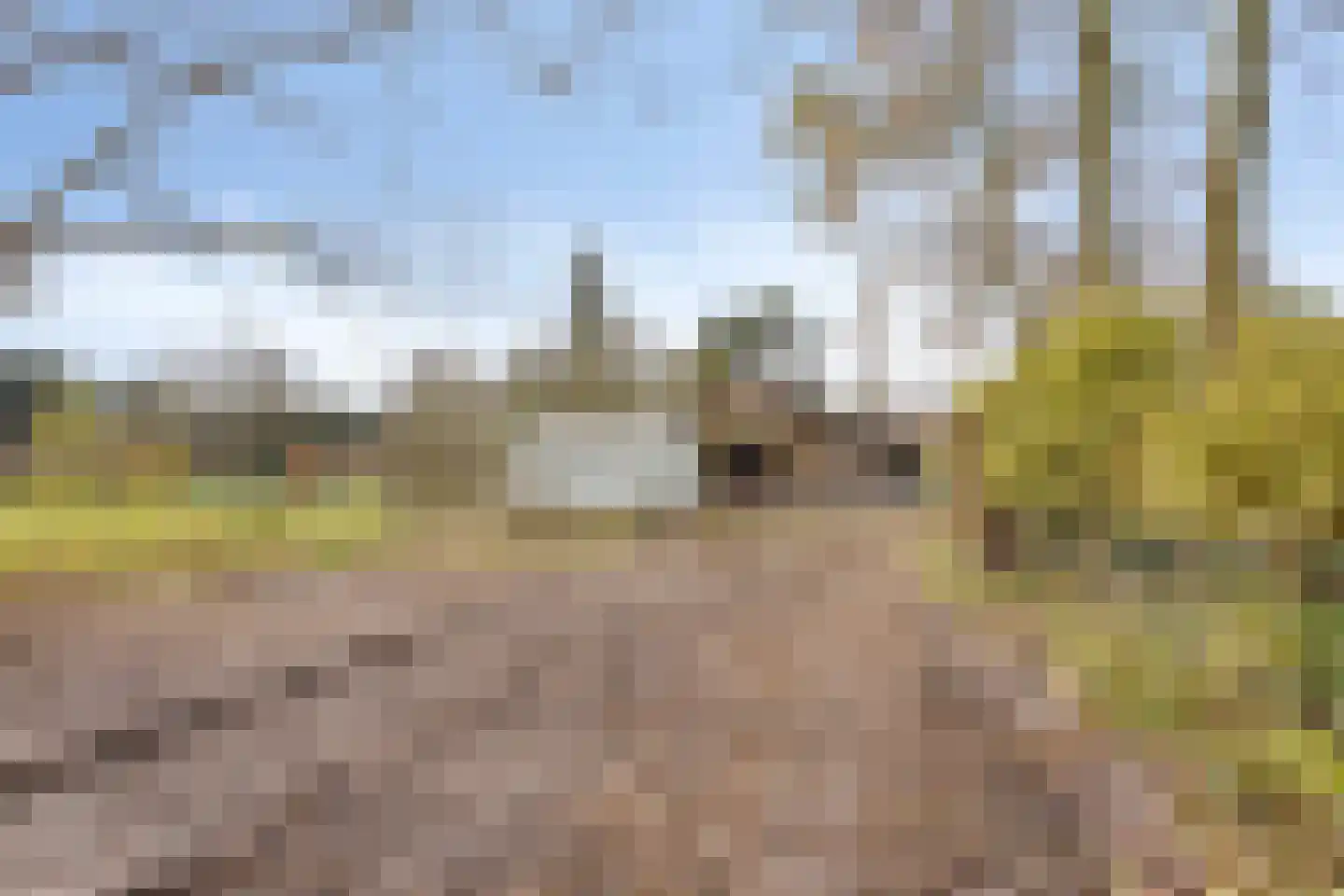 Hermansstraat 12 Hoeven thumbnail 33