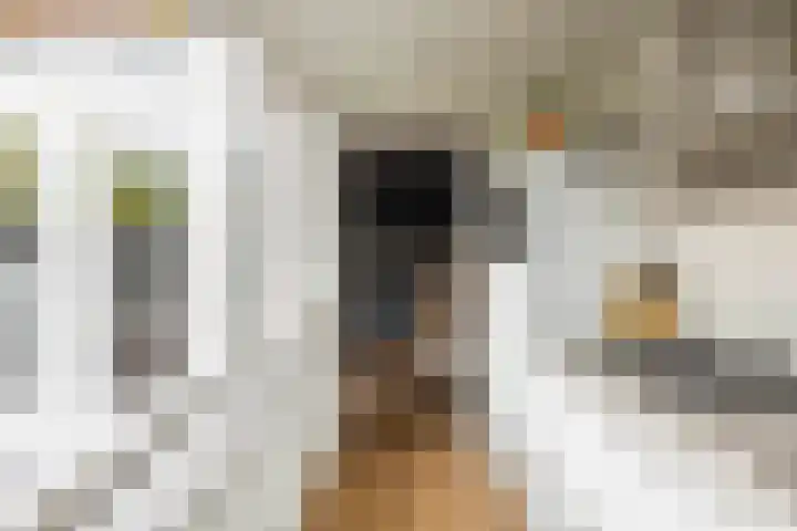 Hermanstraat 15 Groningen thumbnail 23