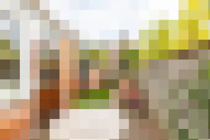 Hermanstraat 15 Groningen thumbnail 26