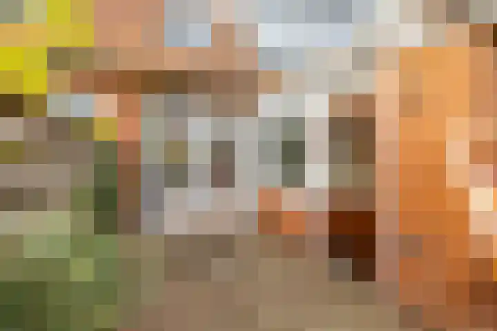 Hermanstraat 15 Groningen thumbnail 27