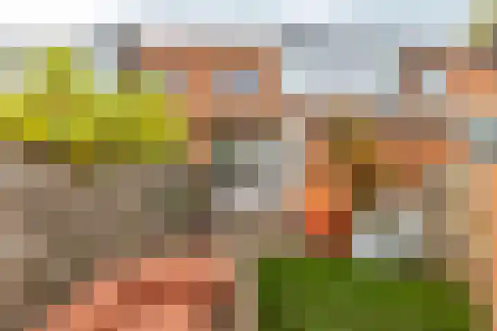 Hermanstraat 15 Groningen thumbnail 28