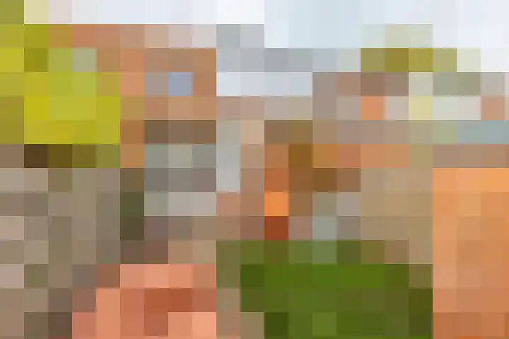 Hermanstraat 15 Groningen thumbnail 29