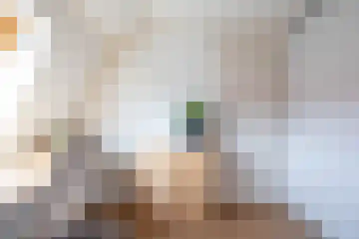 Hermanstraat 15 Groningen thumbnail 42