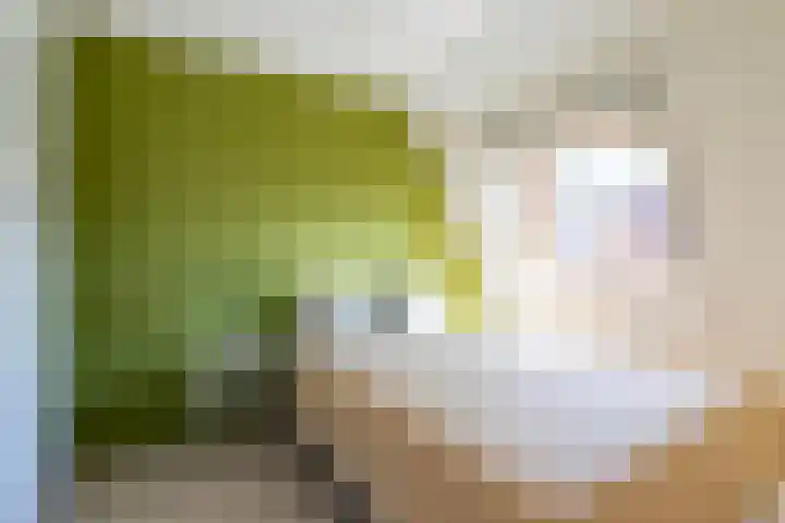 Hermanstraat 18 Groningen thumbnail 22