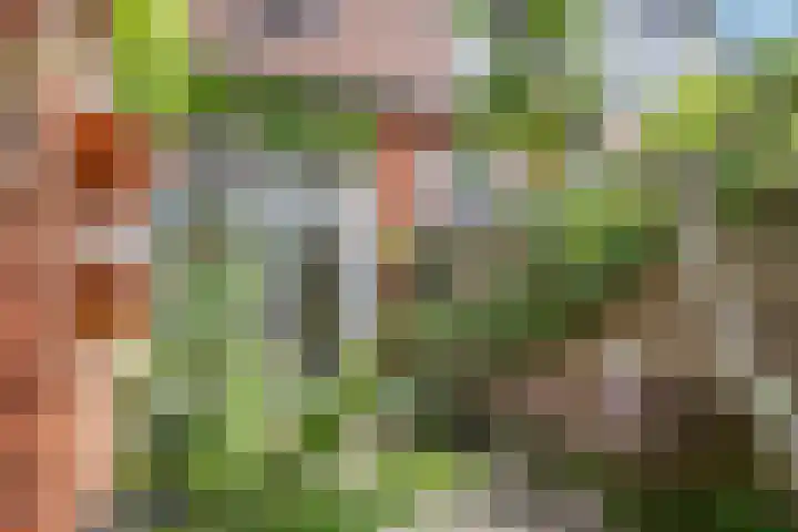 Hermanstraat 20 Groningen thumbnail 31