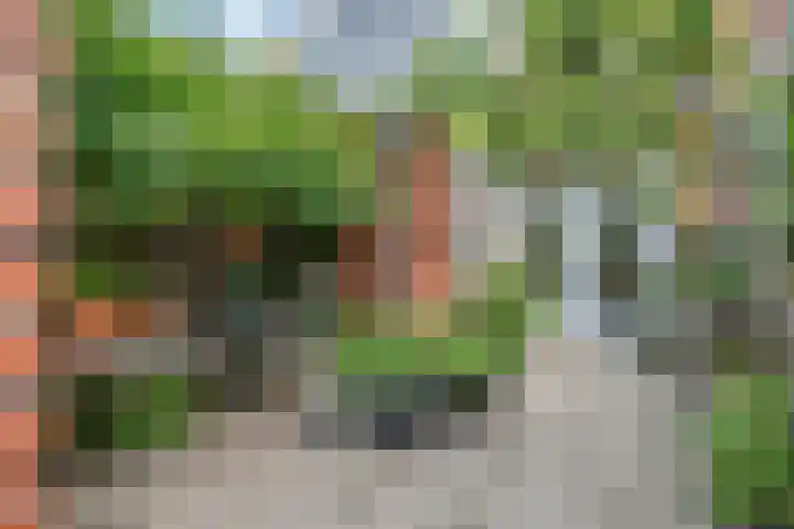 Hermanstraat 20 Groningen thumbnail 4