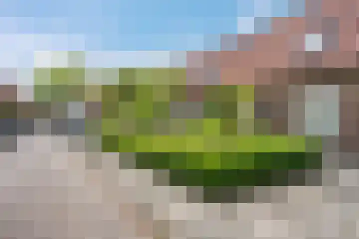 Hermanstraat 20 Groningen thumbnail 6