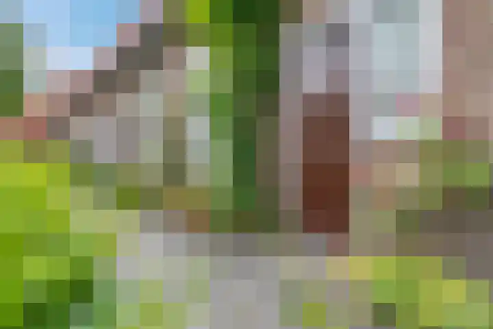 Hermanstraat 20 Groningen thumbnail 8