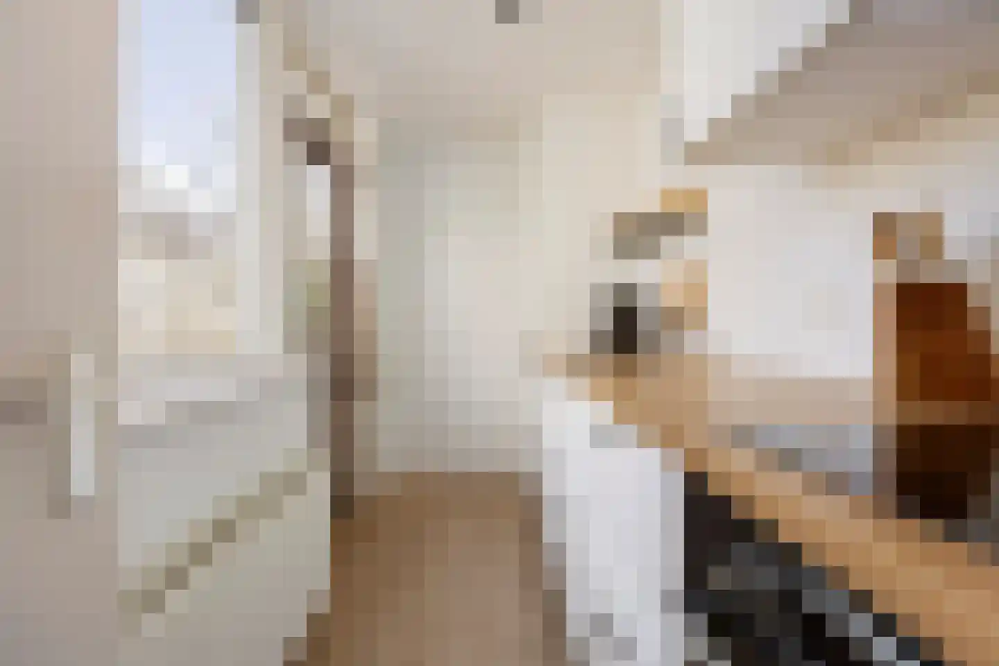 Hermanstraat 29 Groningen thumbnail 14