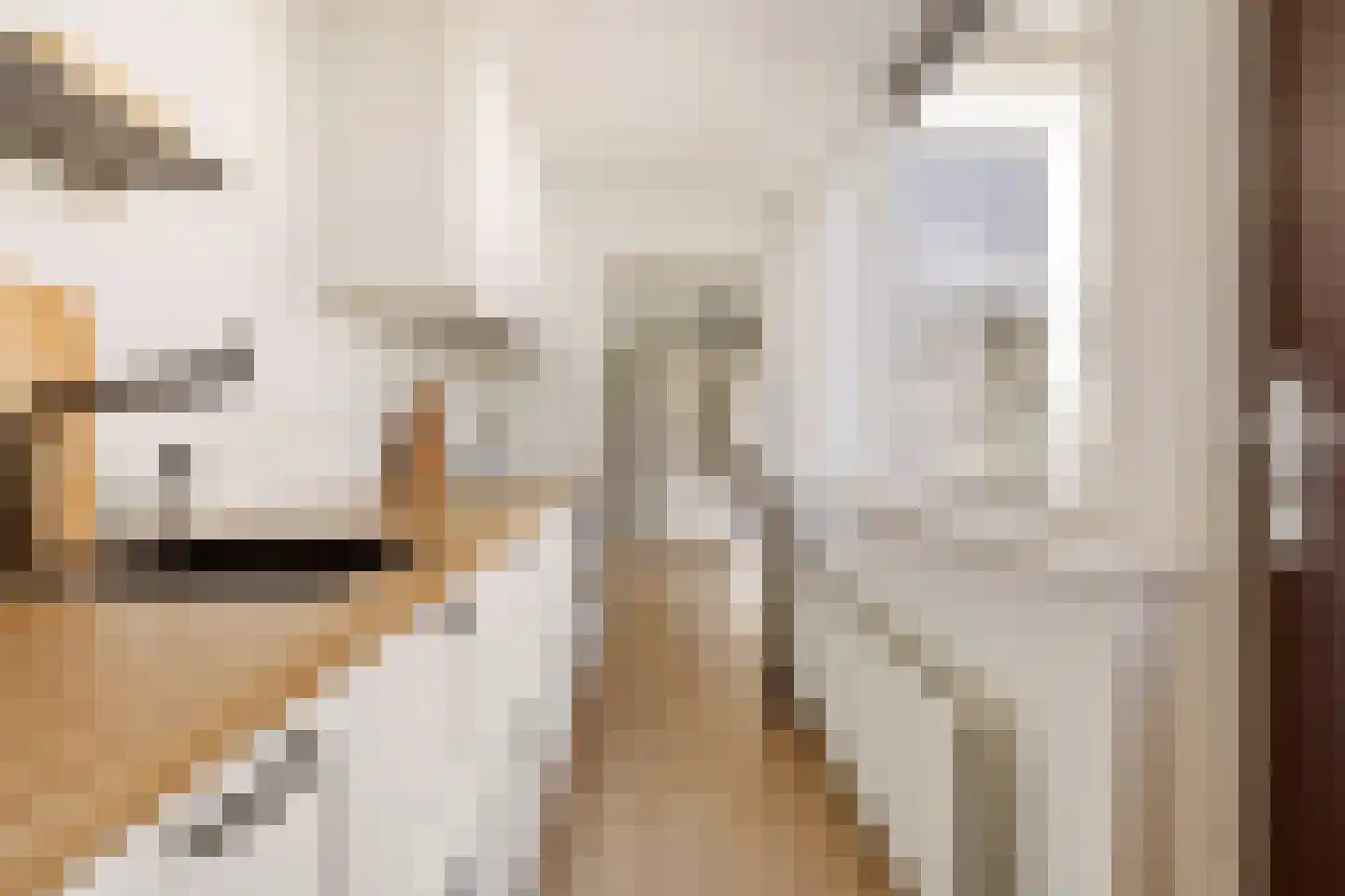 Hermanstraat 29 Groningen thumbnail 15