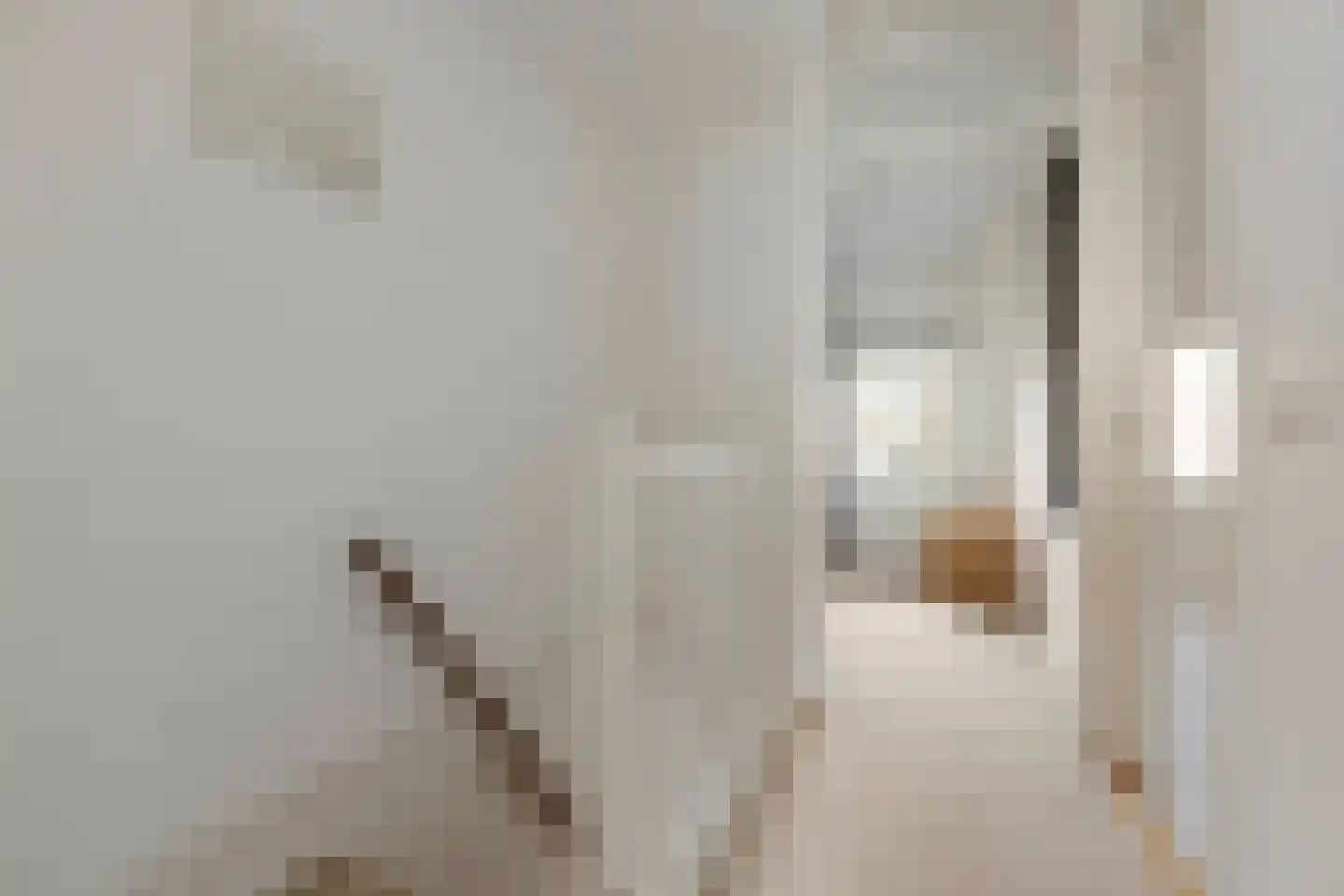 Hermanstraat 29 Groningen thumbnail 19