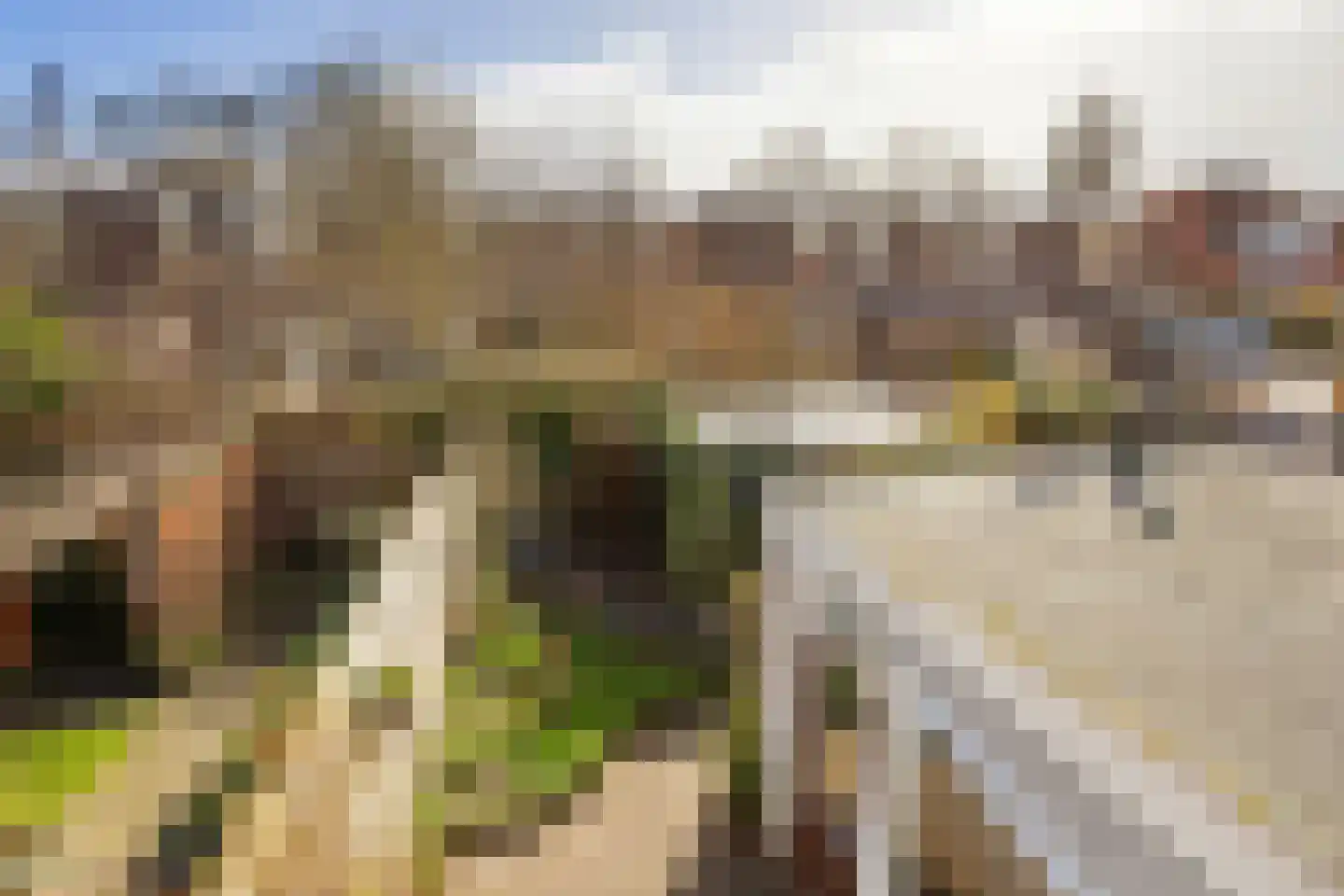Hermanstraat 29 Groningen thumbnail 27