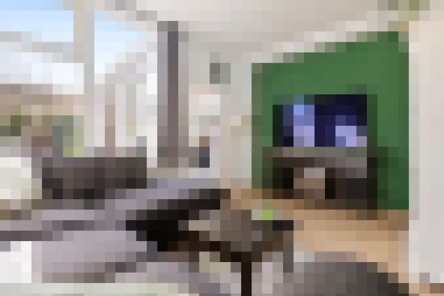 Hermanstraat 29 Groningen thumbnail 8