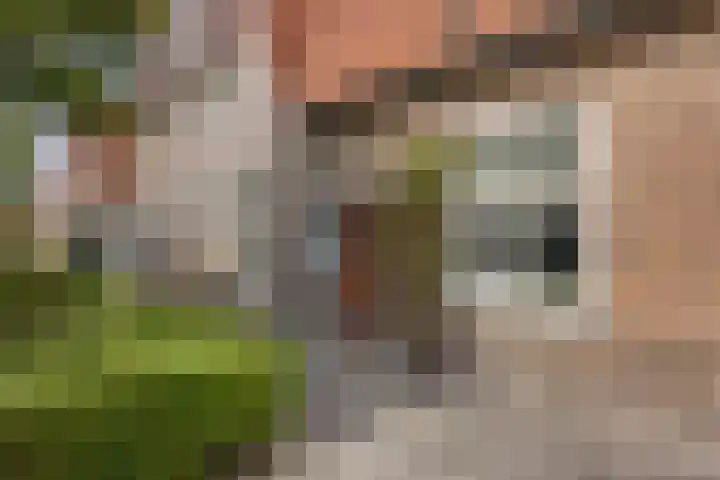 Hermanstraat 34 Groningen thumbnail 4