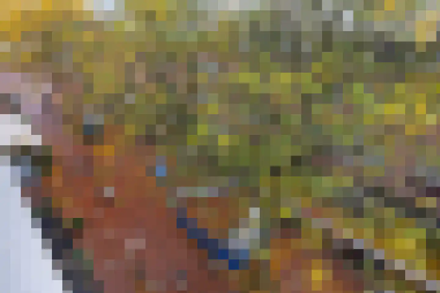 Hermanus Boexstraat 17 Eindhoven thumbnail 30